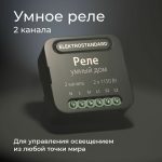 Умное двухканальное реле Elektrostandard 4690389185083 a059326