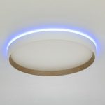 Накладной светильник Citilux Etalon CL750320R