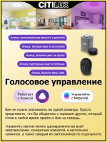 Накладной светильник Citilux CL703A80G