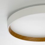 Накладной светильник Citilux Etalon CL750320R