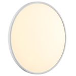 Потолочный светильник Sonex Alfa white 7659/48L