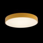 Потолочный светильник Loft IT AXEL 10002/24 Yellow