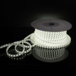 Светодиодная лента Elektrostandard 220V 8W 60Led 2835 IP65 холодный белый, 50 м 4690389170959