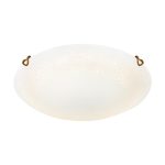 Настенно-потолочный светильник Sonex Ammonite 7602/BL