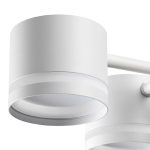 Потолочная люстра Lumion Gareta 8235/9C