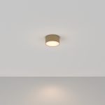 Потолочный светильник Maytoni Technical Ceiling&Wall Zon C032CL-12W3K-RD-MG