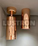 Потолочный светильник Maytoni Alfa C010CL-01RG