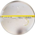 Потолочная люстра Citilux Шарм CL316161