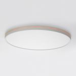 Потолочный светильник Citilux Norma CL749500