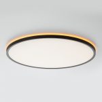 Потолочный светильник Citilux Norma LED RGB CL749501