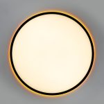 Потолочный светильник Citilux Norma LED RGB CL749501