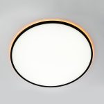 Потолочный светильник Citilux Norma CL749601