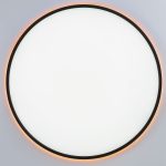 Потолочный светильник Citilux Norma CL749601