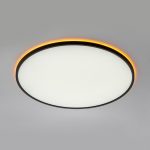 Потолочный светильник Citilux Norma CL749601