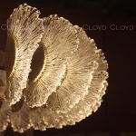 Подвесная люстра Cloyd Antigua 11319