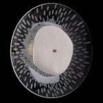 Настенный светильник Crystal Lux CONTESSA AP2.1