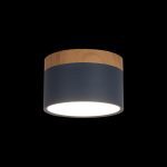 Накладной светильник Loft IT Grape 10162 Blue
