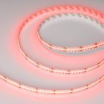 Светодиодная лента Arlight CSP-X840-12mm 24V RGBW-Day (17.2 W/m, IP20, 5m)  046936