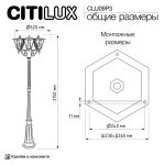 Парковый светильник Citilux Forts CLU09P3
