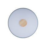 Потолочный светильник Loft IT AXEL 10003/24 Grey