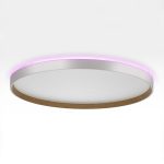 Накладной светильник Citilux Etalon CL750500R