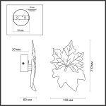 Настенный светильник Odeon Light Eva 4371/3WL