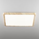 Потолочный светильник Citilux Бейсик CL738K502V