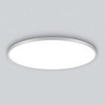 Потолочный светильник Citilux Norma CL748600