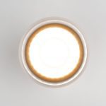 Уличный потолочный светильник Elektrostandard Light LED 4690389177941