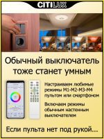 Накладной светильник Citilux CL713A80G