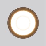 Уличный потолочный светильник Elektrostandard Light LED 4690389176975