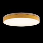 Потолочный светильник Loft IT AXEL 10001/36 Yellow