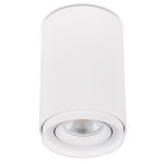 Накладной светильник Simple Story 2065-1CLW