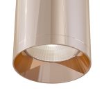 Потолочный светильник Maytoni Alfa C010CL-01RG