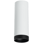 Накладной светильник Lightstar Rullo R4863437 (214486+203437)