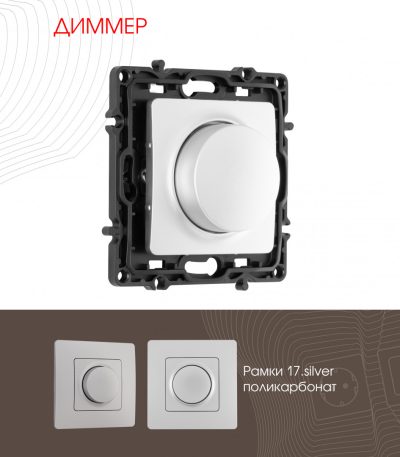 Диммер Arte Milano 217.48-1.silver