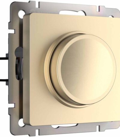 Диммер Werkel шампань W1142011 4690389157202