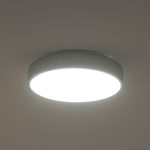 Потолочный светильник Zortes Tortty ZRS.02565.36