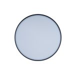 Потолочный светильник Loft IT AXEL 10002/12 Black