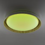 Потолочный светильник Citilux Mega CL752452G