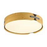 Потолочный светильник Sonex Coraggio 7721/120L