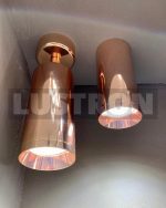 Потолочный светильник Maytoni Alfa C010CL-01RG