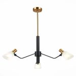 Подвесная люстра Evoluce Lita SLE205403-03