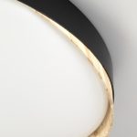 Потолочный светильник Citilux Bonny CL754451G