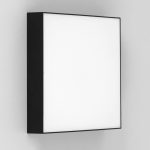 Накладной светодиодный светильник Citilux Тао CL712X242N