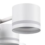 Потолочная люстра Lumion Gareta 8235/12C