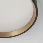 Настенно-потолочный светильник Citilux Etalon CL750181