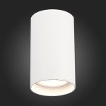 Накладной светильник ST Luce ST157.542.20