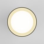 Потолочный светодиодный светильник Elektrostandard Topper DLR021 черный жемчуг 4690389167621