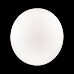 Настенно-потолочный светильник Sonex Simple 3017/DL